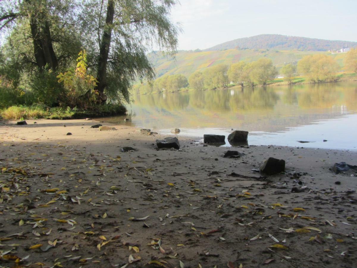 Apartament Mosel-Auszeit Brauneberg Zewnętrze zdjęcie