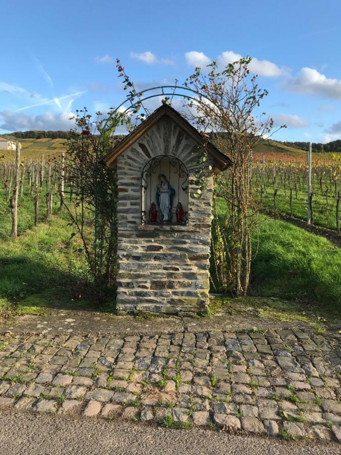 Apartament Mosel-Auszeit Brauneberg Zewnętrze zdjęcie