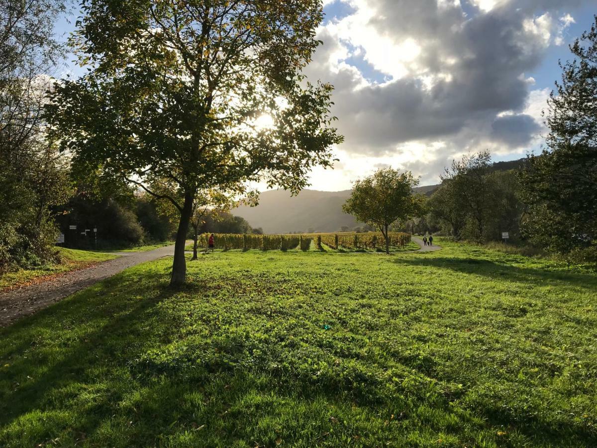Apartament Mosel-Auszeit Brauneberg Zewnętrze zdjęcie